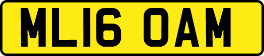 ML16OAM