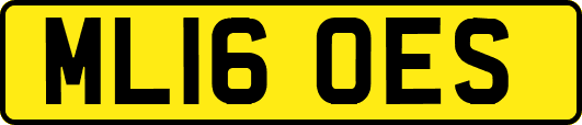 ML16OES