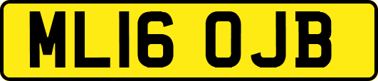 ML16OJB