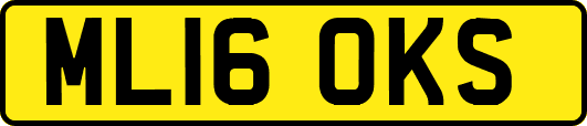 ML16OKS
