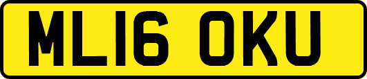 ML16OKU