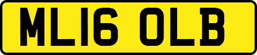 ML16OLB
