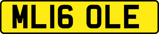 ML16OLE