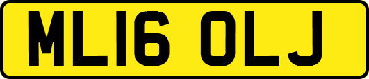ML16OLJ