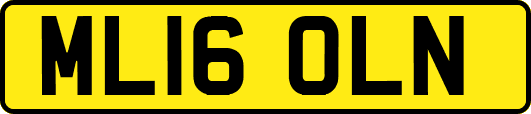 ML16OLN