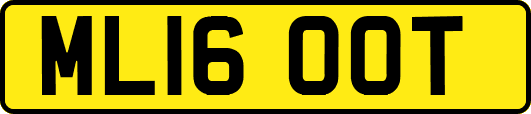 ML16OOT