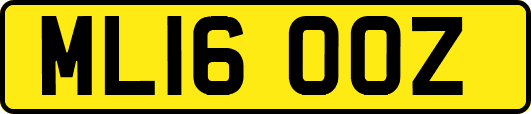 ML16OOZ