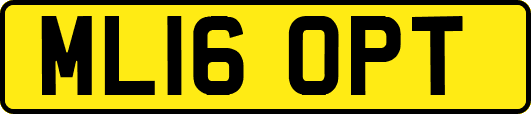 ML16OPT