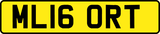 ML16ORT