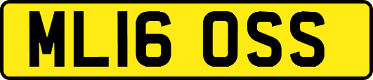 ML16OSS