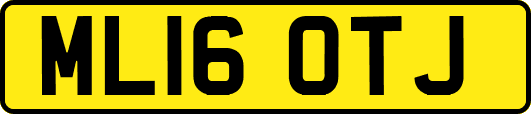 ML16OTJ