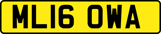 ML16OWA