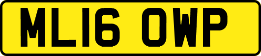 ML16OWP