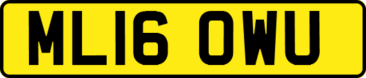 ML16OWU