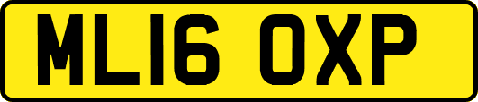 ML16OXP