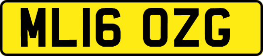 ML16OZG