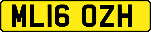 ML16OZH