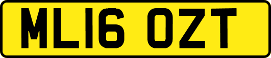 ML16OZT
