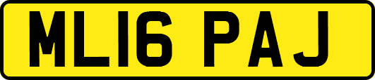 ML16PAJ