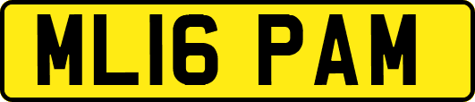 ML16PAM