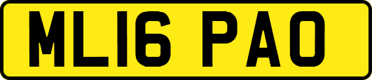 ML16PAO