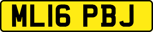 ML16PBJ