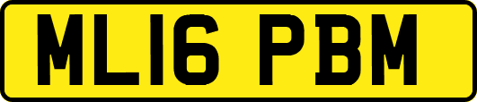 ML16PBM