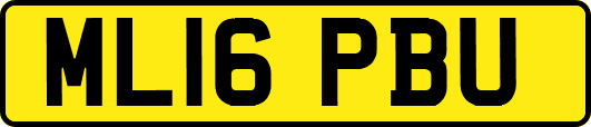 ML16PBU