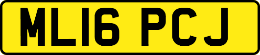 ML16PCJ