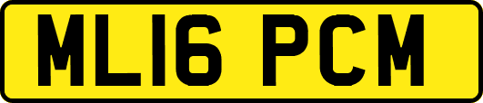 ML16PCM