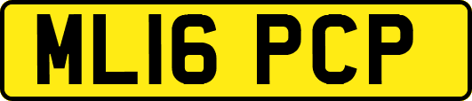 ML16PCP