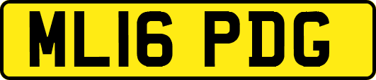 ML16PDG
