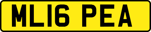ML16PEA