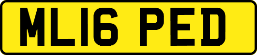 ML16PED