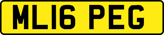 ML16PEG