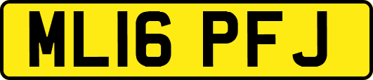 ML16PFJ