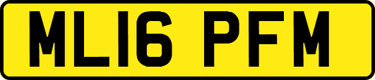 ML16PFM