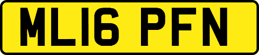 ML16PFN