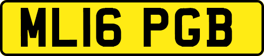 ML16PGB