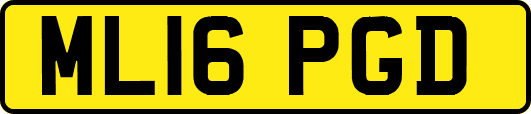 ML16PGD