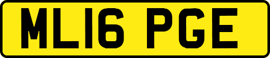 ML16PGE