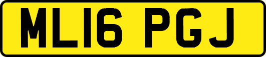 ML16PGJ