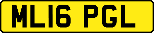 ML16PGL