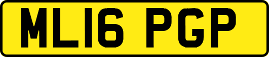 ML16PGP