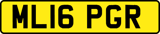 ML16PGR