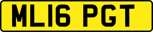 ML16PGT