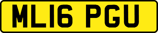 ML16PGU