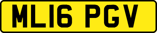 ML16PGV