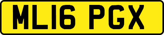 ML16PGX