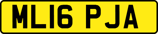 ML16PJA